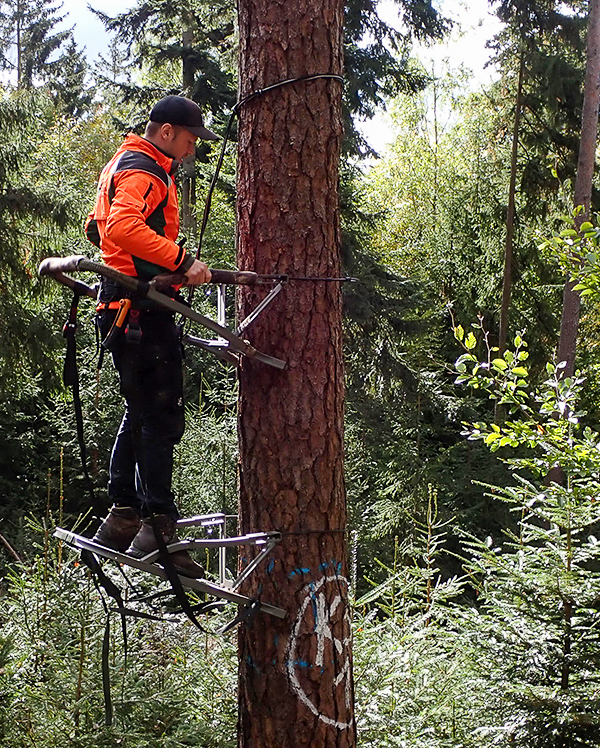 Männlich gelesene Person im Wald auf einem mobilen Hochsitz