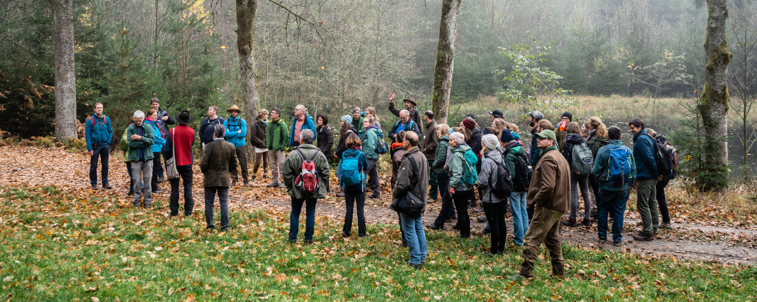 Teilnehmer der Exkursion Waldkontroversen 2019 der Campus-Akademie der Universität Bayreuth im Wald