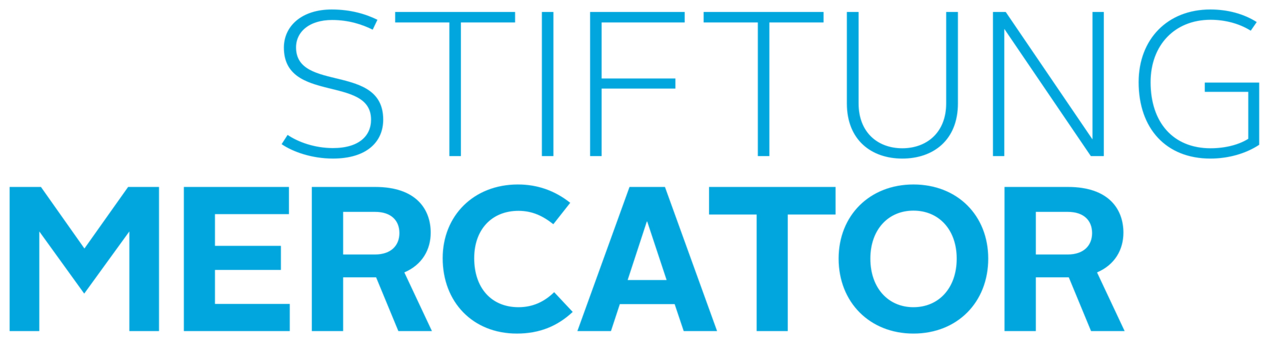 Logo der Stiftung Mercator